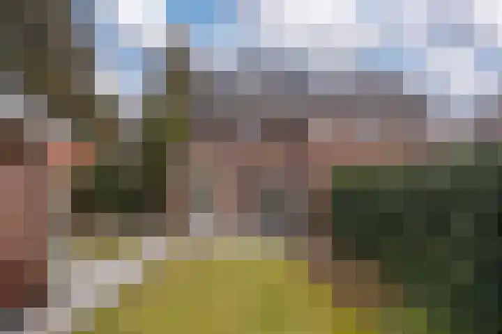 de Wetstein Pfisterlaan 49 Driebergen-Rijsenburg thumbnail 40