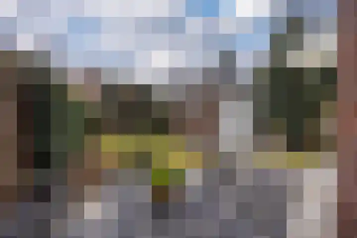 de Wetstein Pfisterlaan 49 Driebergen-Rijsenburg thumbnail 41
