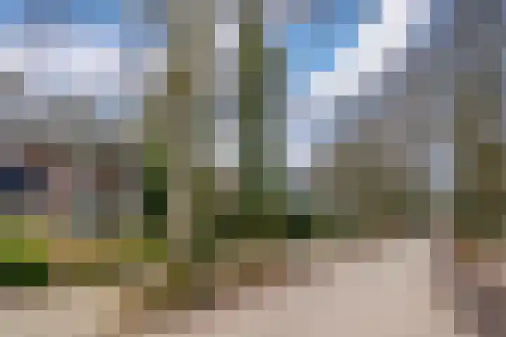 de Wetstein Pfisterlaan 49 Driebergen-Rijsenburg thumbnail 46
