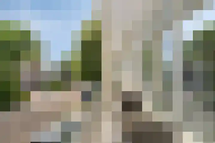 de Wetstraat 1 A Breda thumbnail 23