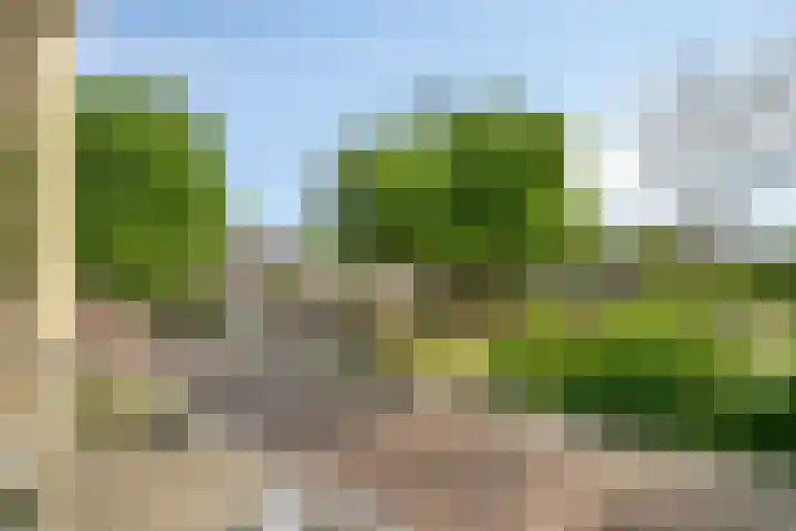 de Wetstraat 1 A Breda thumbnail 24