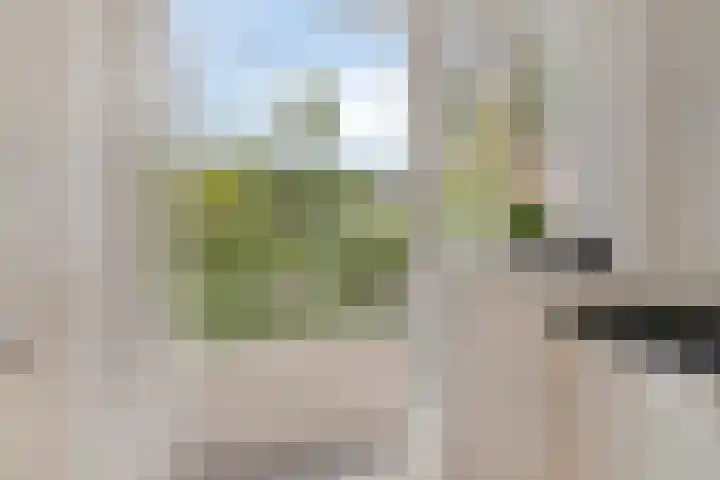 de Wetstraat 1 A Breda thumbnail 31