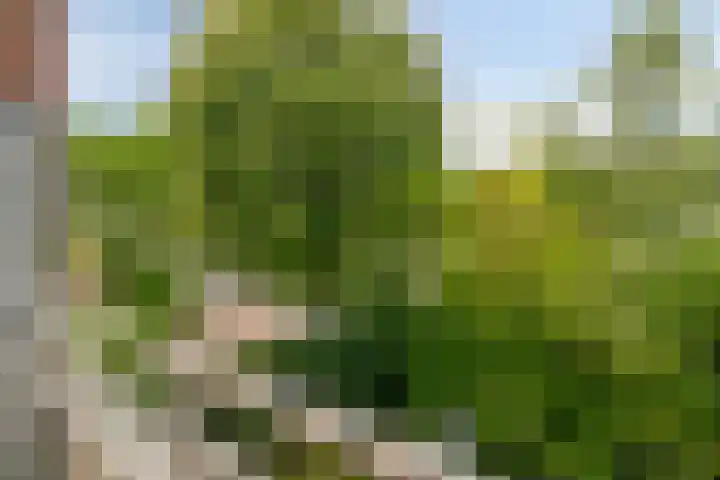 de Wetstraat 1 A Breda thumbnail 32