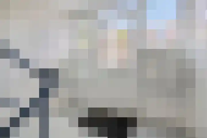 de Wetstraat 1 A Breda thumbnail 9