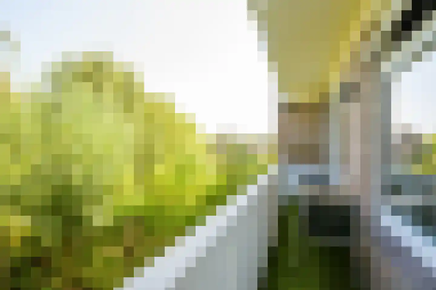de Wetstraat 10 A Breda thumbnail 29