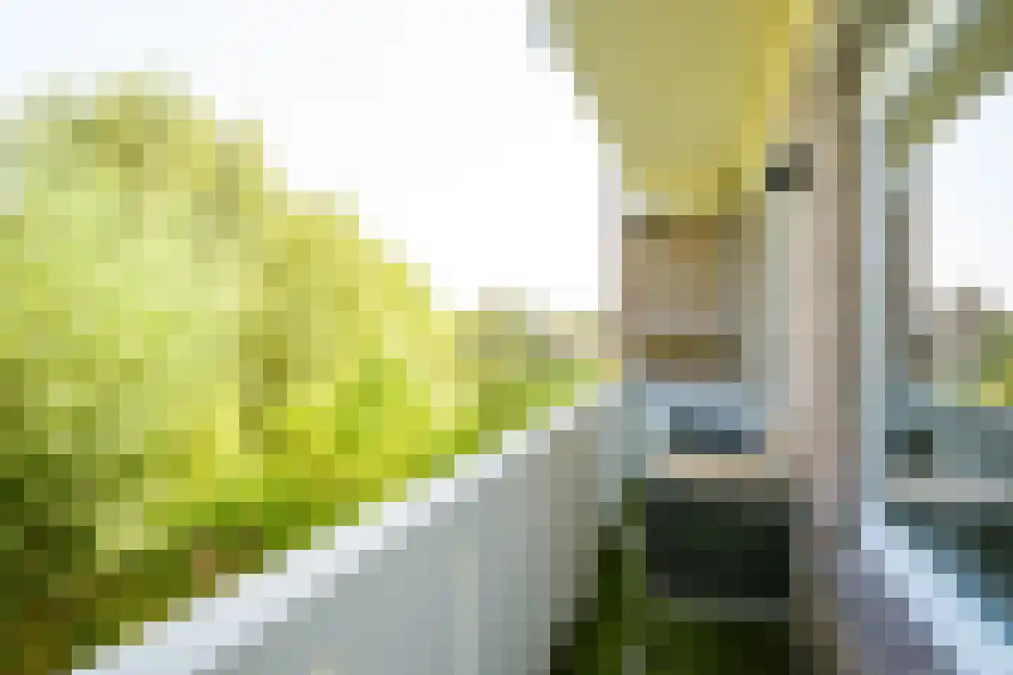 de Wetstraat 10 A Breda thumbnail 30