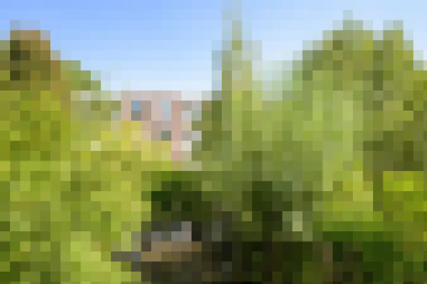 de Wetstraat 10 A Breda thumbnail 33