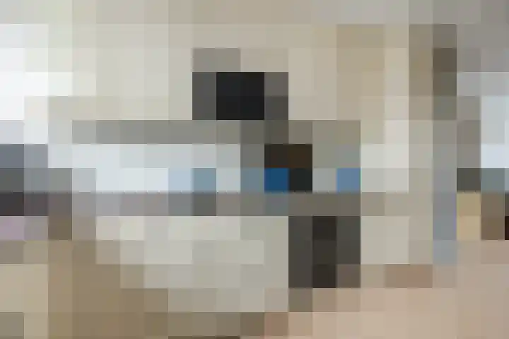 de Wetstraat 125 Ridderkerk thumbnail 8