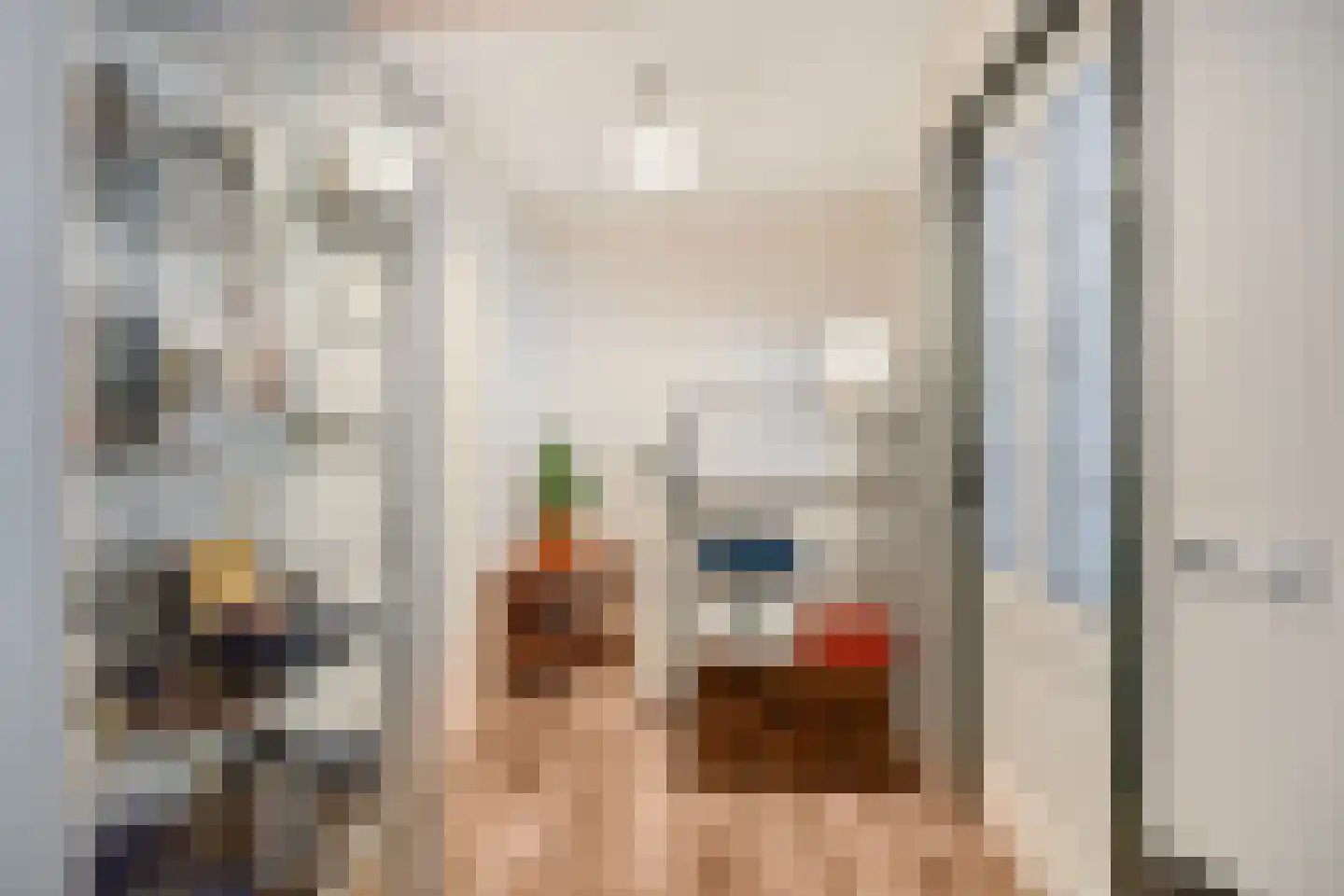 De Wetstraat 16 Leiden thumbnail 22