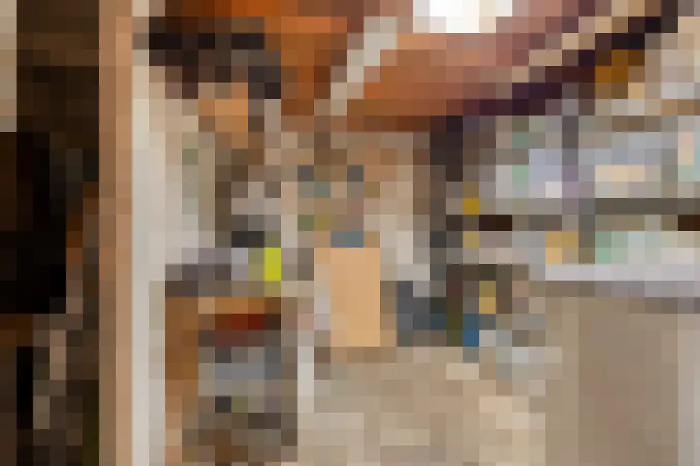 De Wetstraat 16 Leiden thumbnail 32