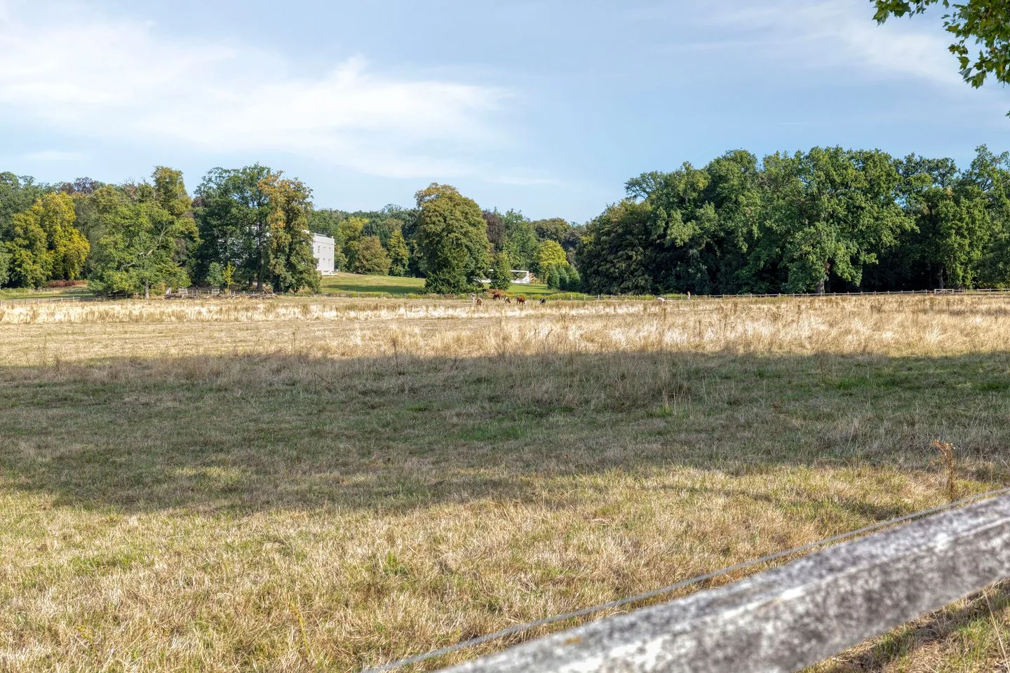 De Wetstraat 18 2 Arnhem thumbnail 25