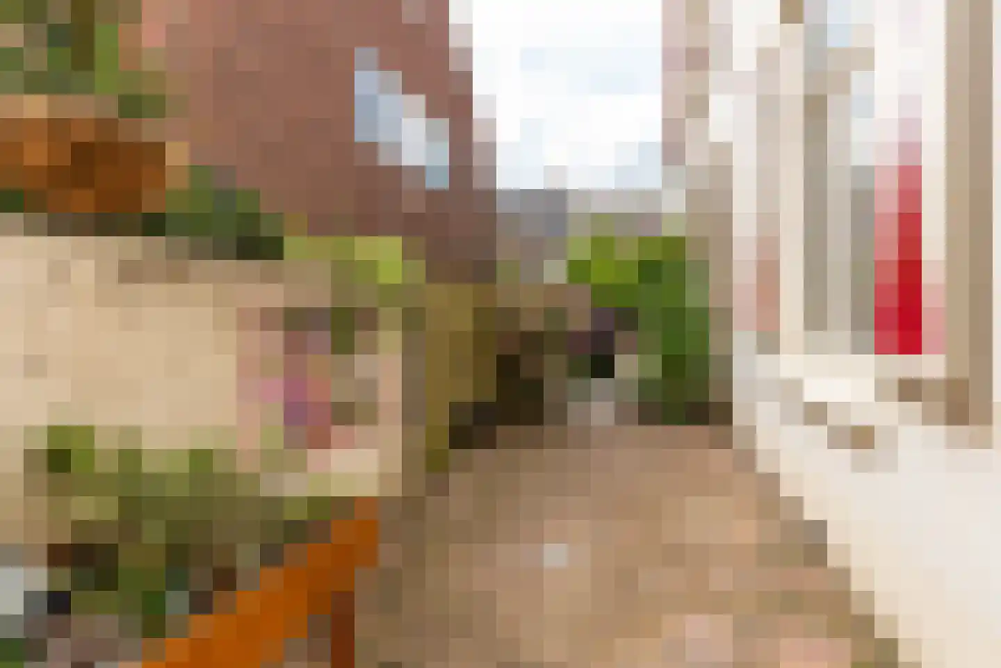 de Wetstraat 18 Baarn thumbnail 31