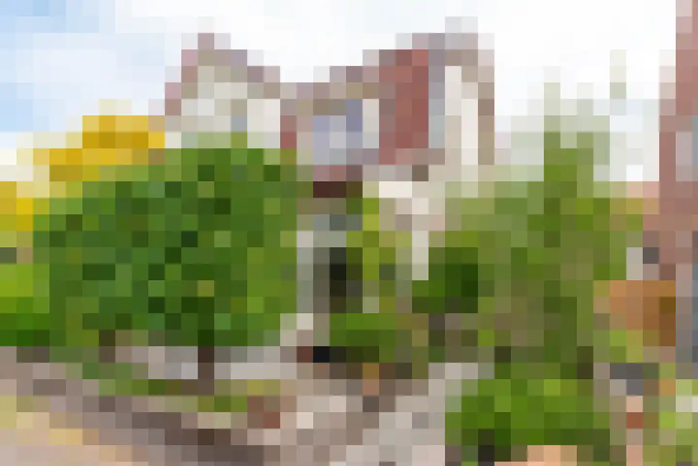 de Wetstraat 18 Baarn thumbnail 38