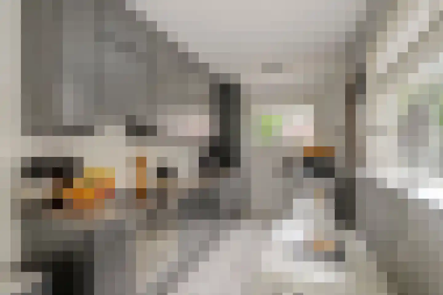de Wetstraat 19 Ridderkerk thumbnail 18