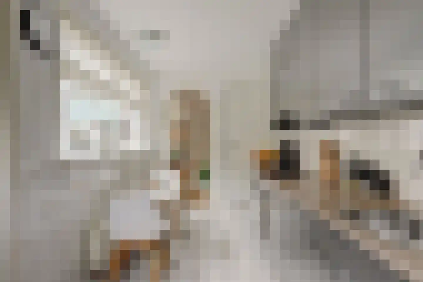 de Wetstraat 19 Ridderkerk thumbnail 19