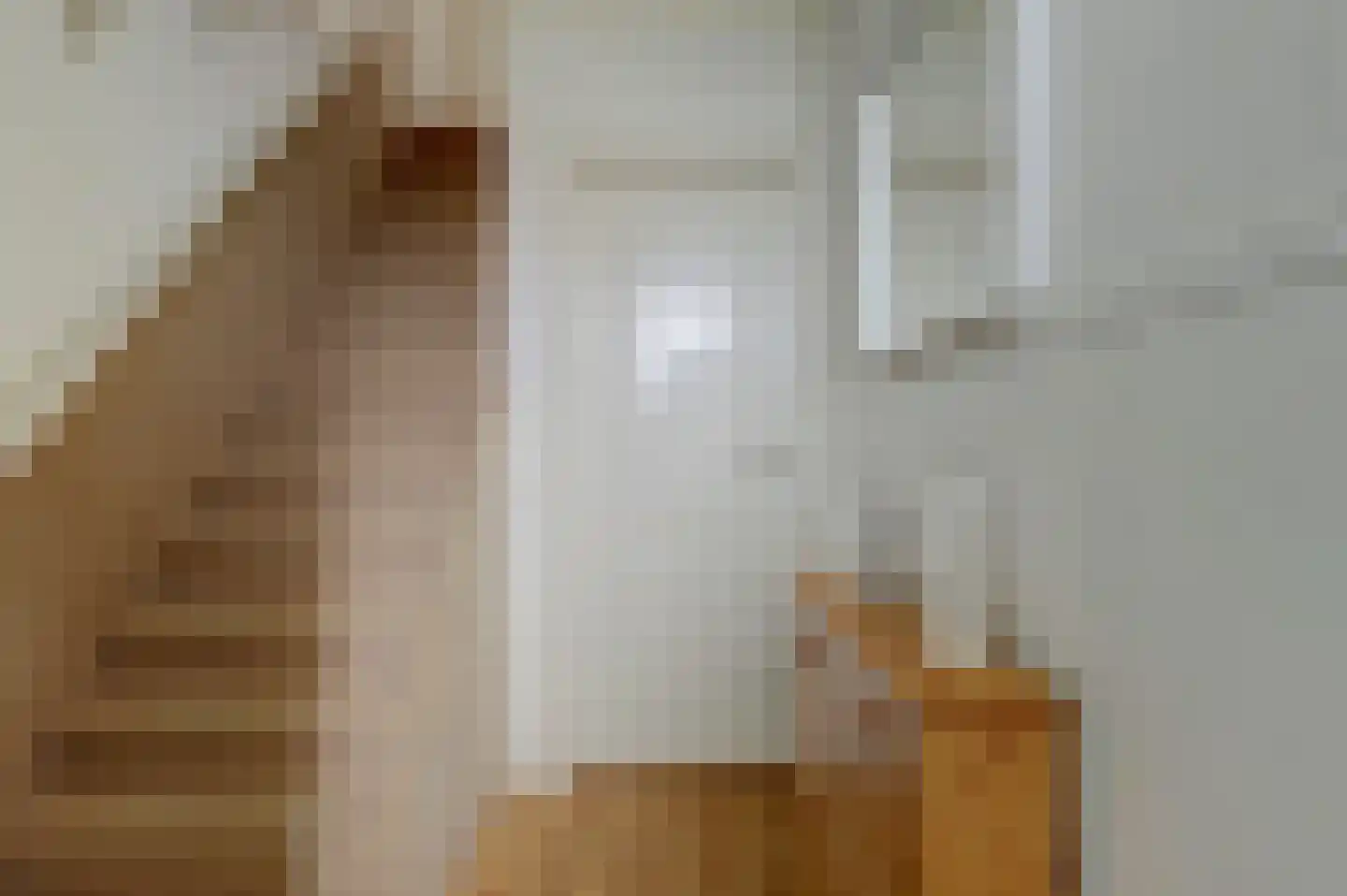 de Wetstraat 19 Ridderkerk thumbnail 9