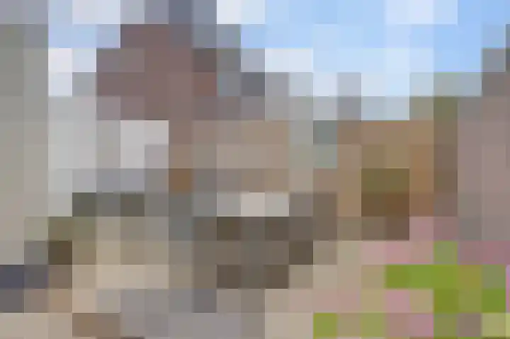de Wetstraat 25 Ridderkerk thumbnail 23