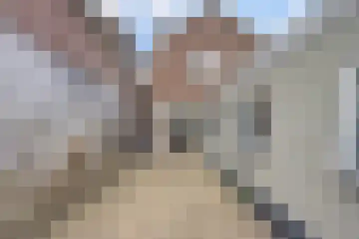 de Wetstraat 25 Ridderkerk thumbnail 25
