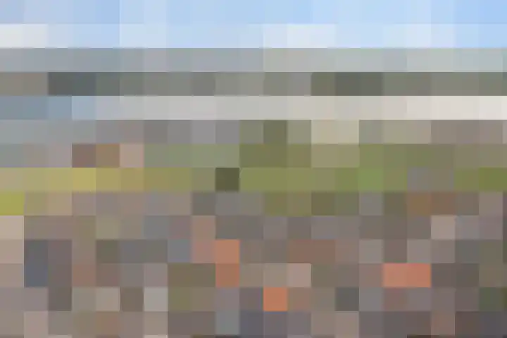 de Wetstraat 25 Ridderkerk thumbnail 28