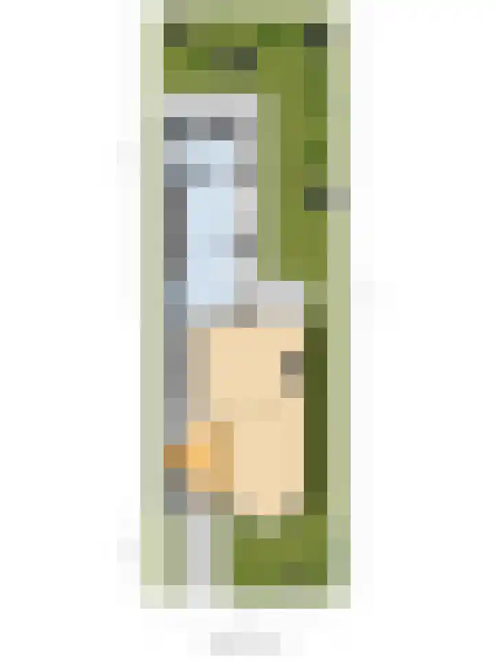 de Wetstraat 25 Ridderkerk thumbnail 32