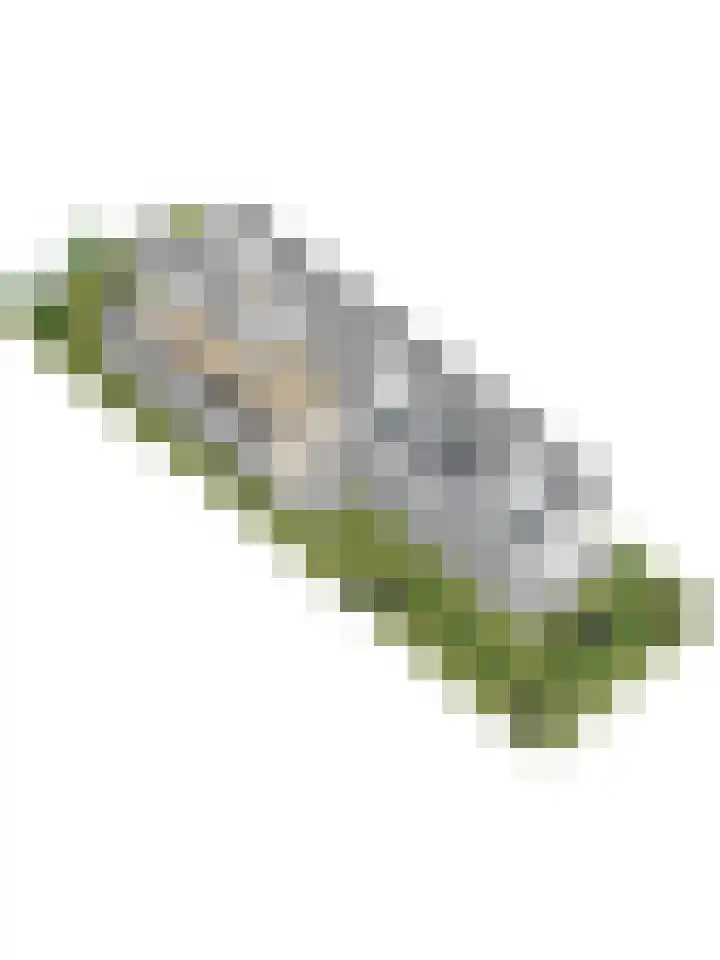 de Wetstraat 25 Ridderkerk thumbnail 36