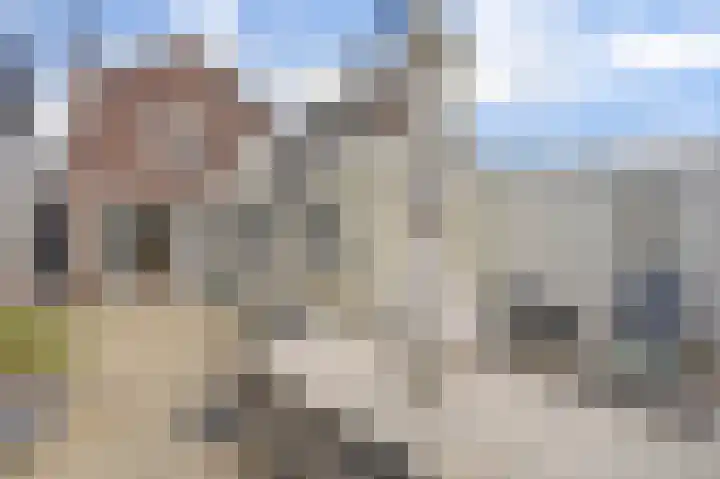 de Wetstraat 25 Ridderkerk thumbnail 5