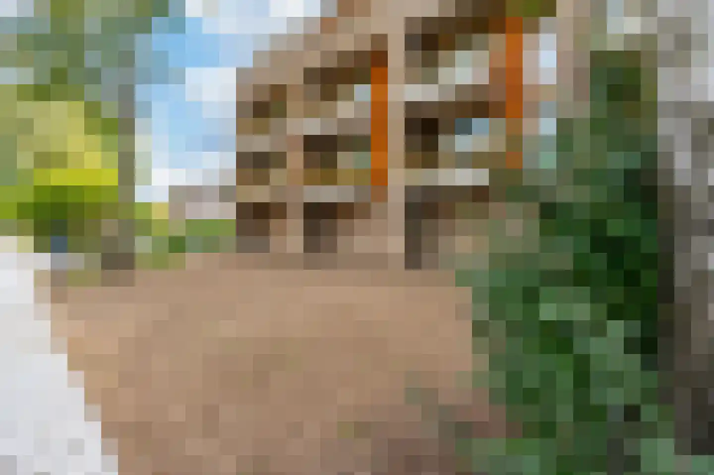 de Wetstraat 27 A Vaassen thumbnail 25