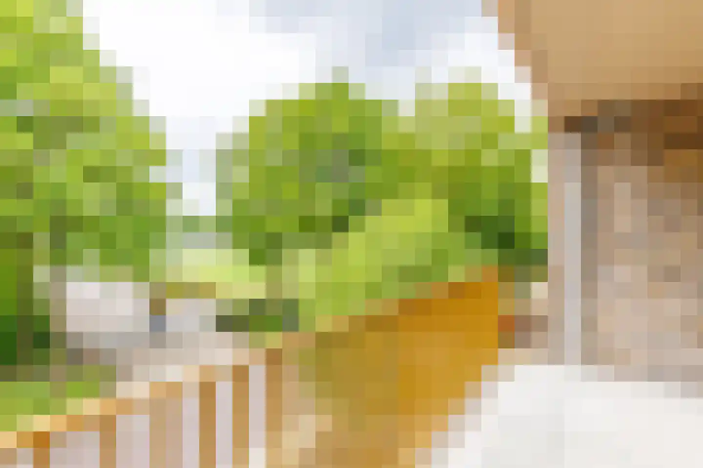 de Wetstraat 29 I Vaassen thumbnail 7