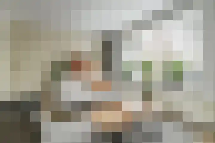 de Wetstraat 3 Baarn thumbnail 5