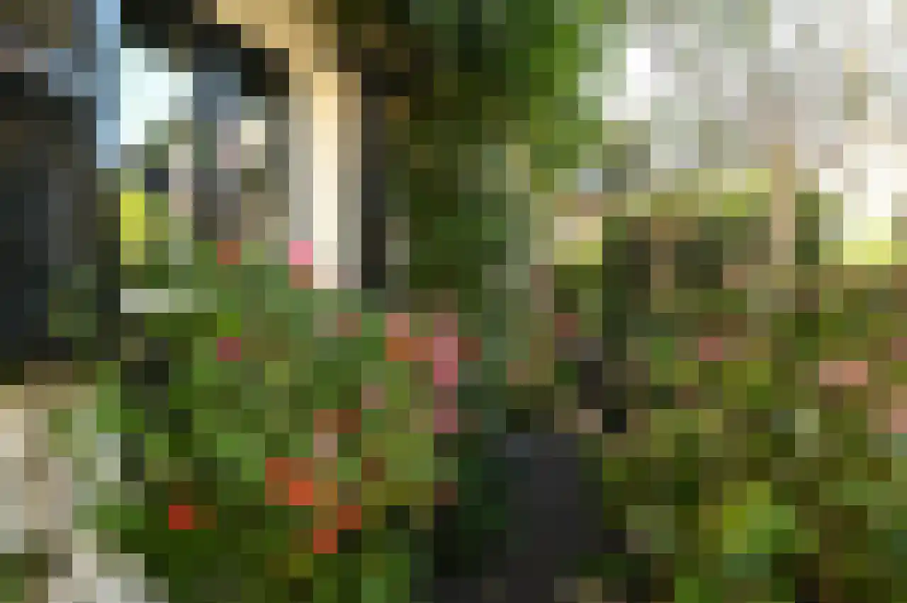de Wetstraat 31 Baarn thumbnail 19
