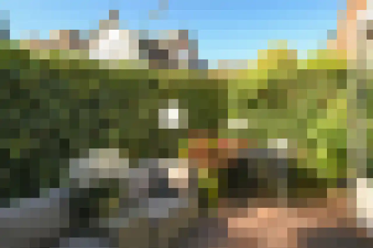 de Wetstraat 31 Baarn thumbnail 8