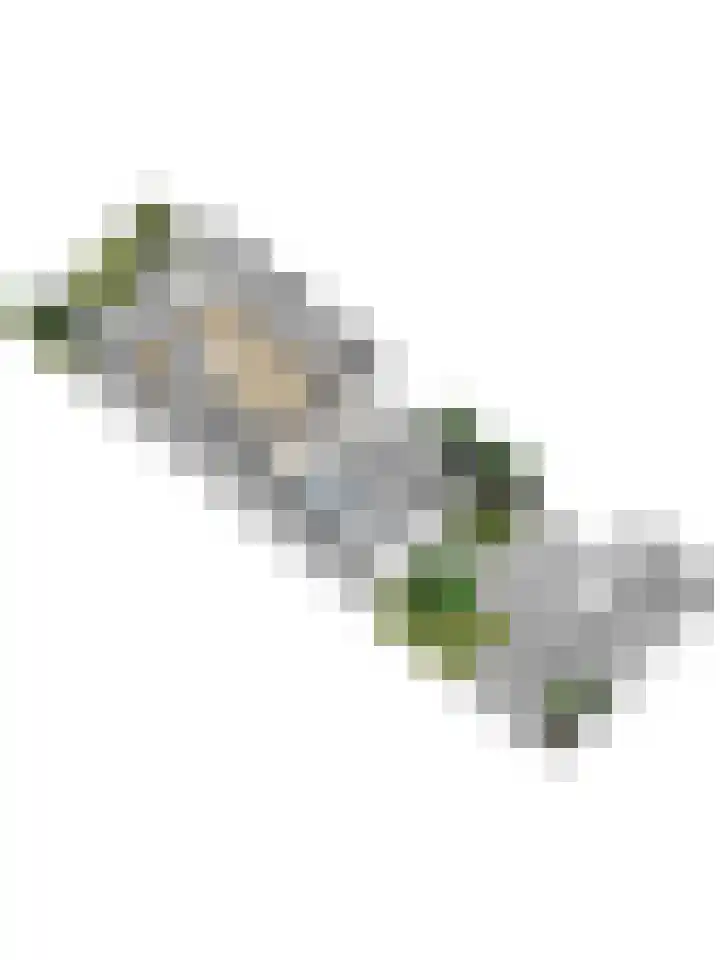 de Wetstraat 32 Ridderkerk thumbnail 36