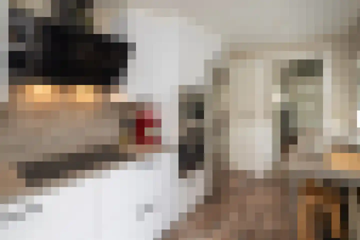 de Wetstraat 36 Ridderkerk thumbnail 10