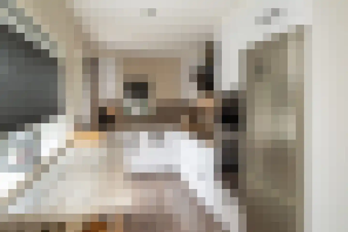 de Wetstraat 36 Ridderkerk thumbnail 4