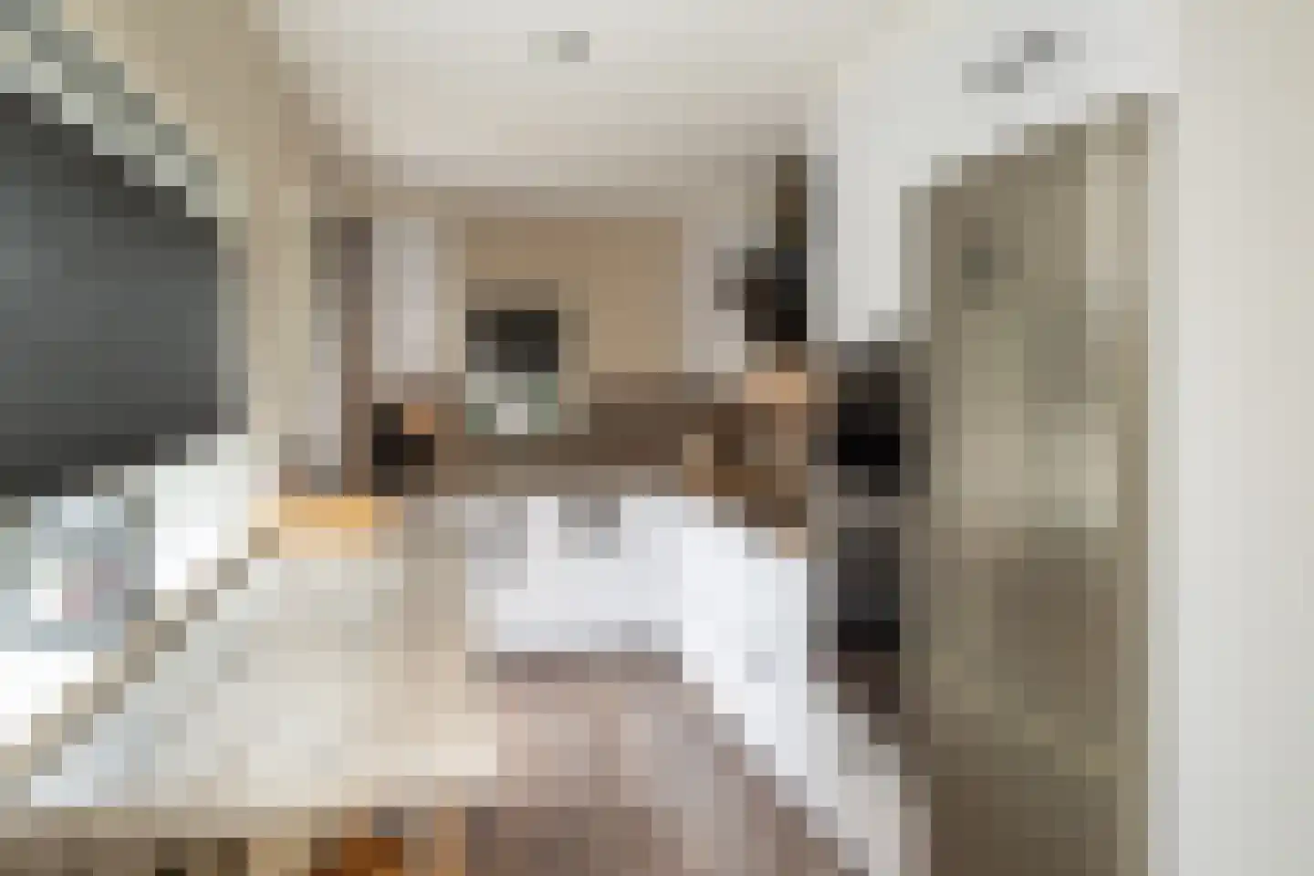 de Wetstraat 36 Ridderkerk thumbnail 6