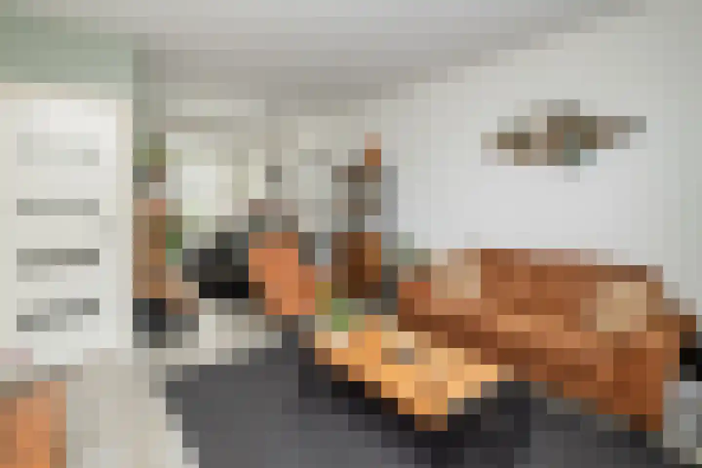 de Wetstraat 36 Ridderkerk thumbnail 6