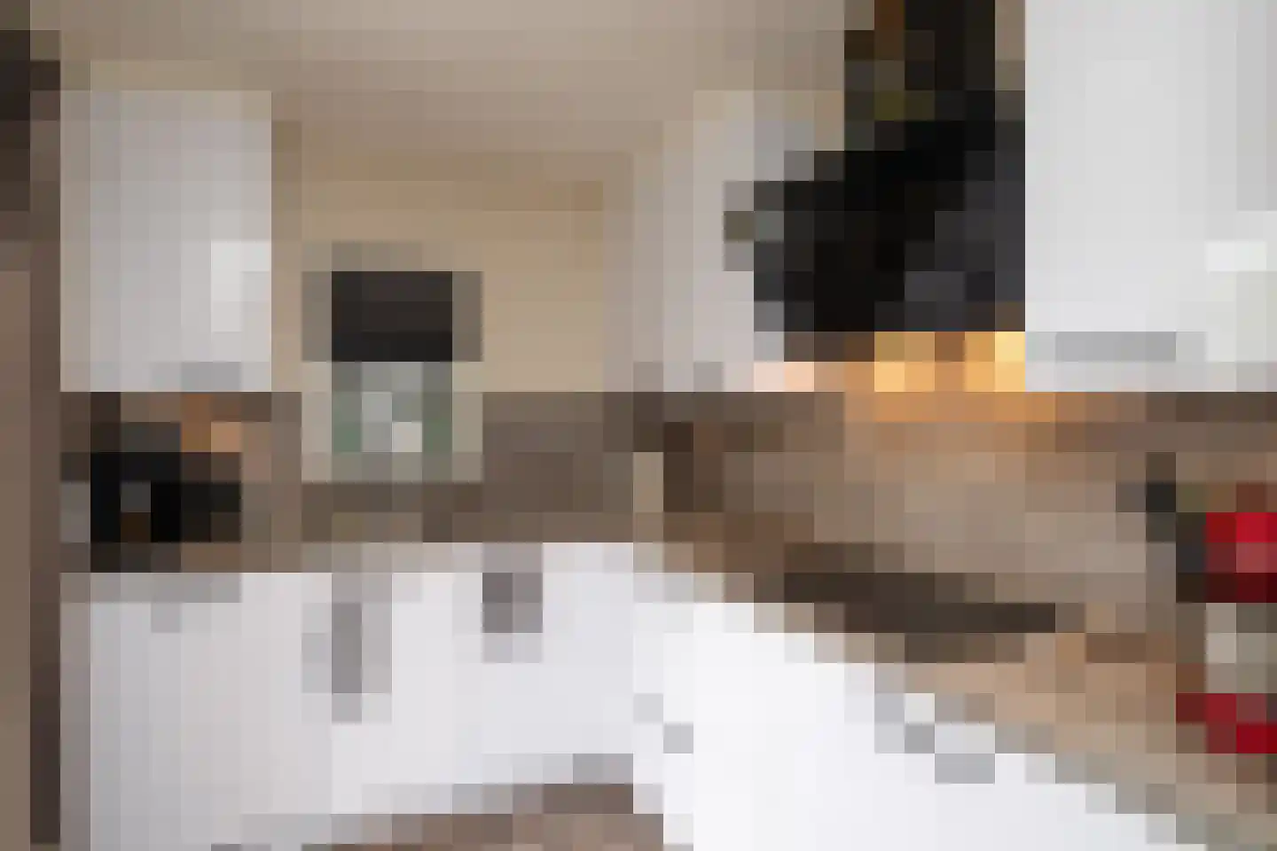 de Wetstraat 36 Ridderkerk thumbnail 9
