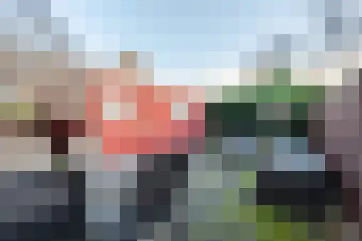 De Wetstraat 66 Zaandam thumbnail 4