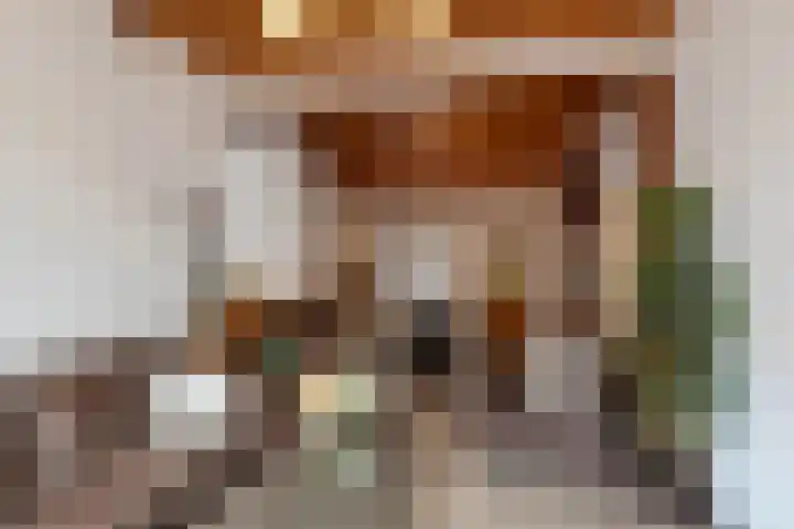 De Wetstraat 7 Almelo thumbnail 7