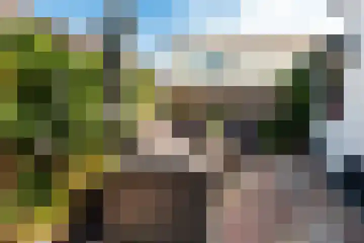 de Wetstraat 7 Baarn thumbnail 15