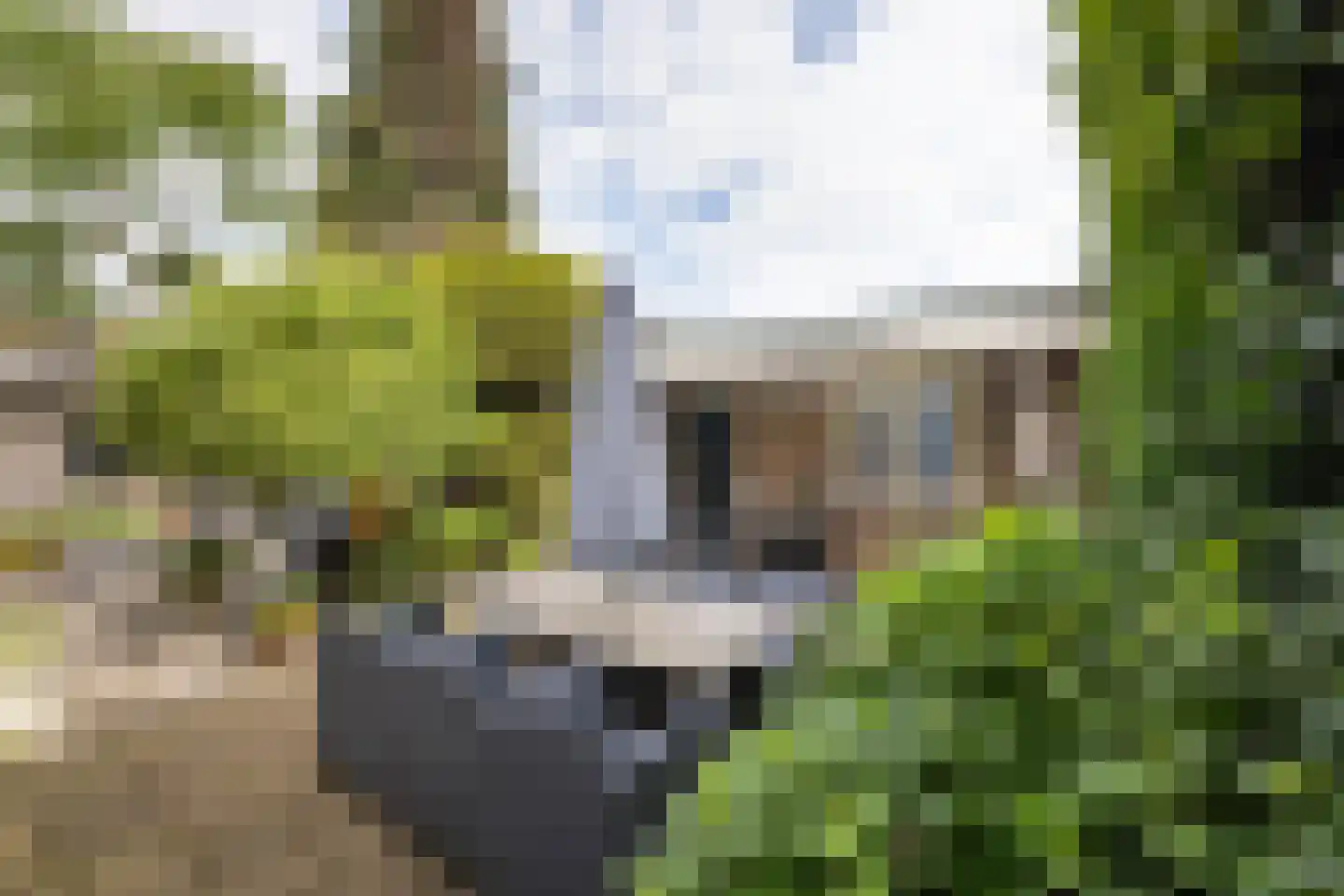 de Wetstraat 7 Hengelo thumbnail 30