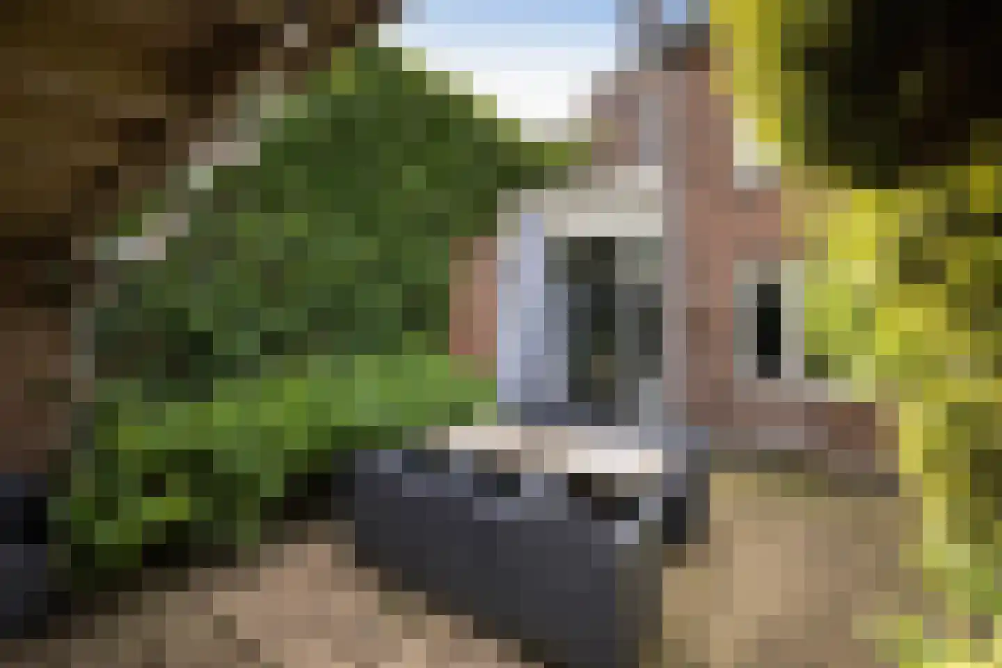 de Wetstraat 7 Hengelo thumbnail 32