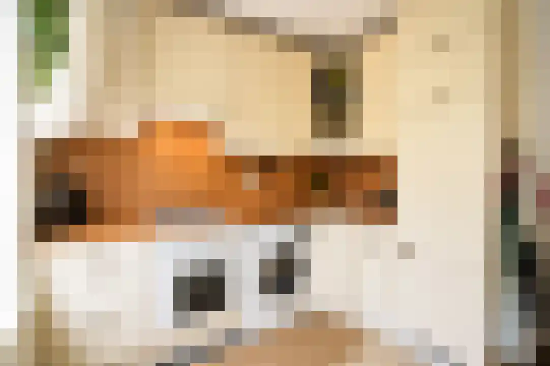de Wetstraat 8 Breda thumbnail 5