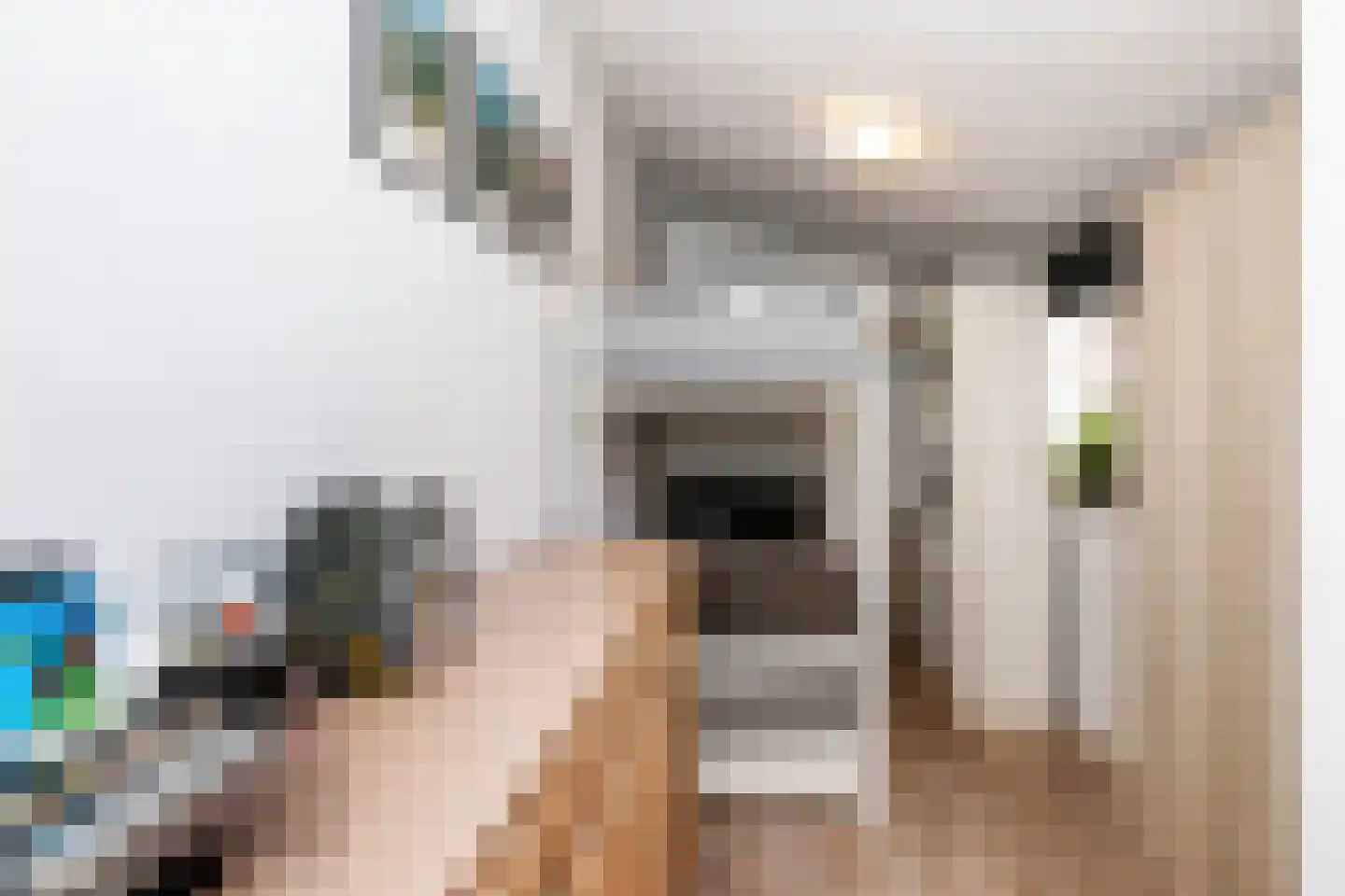 de Wetstraat 90 Ridderkerk thumbnail 16