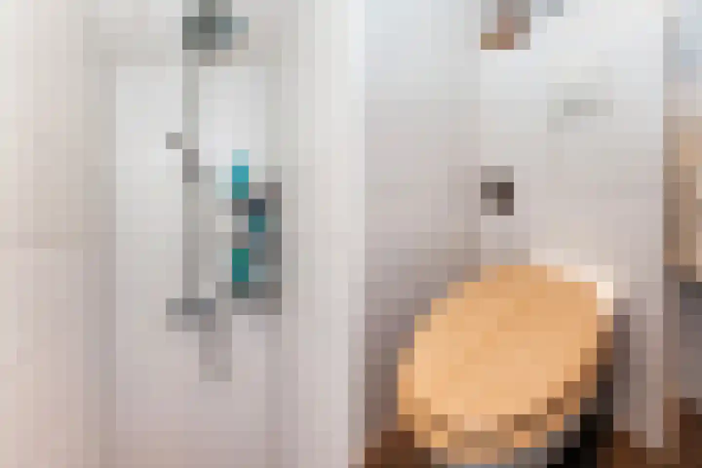 de Wetstraat 90 Ridderkerk thumbnail 23