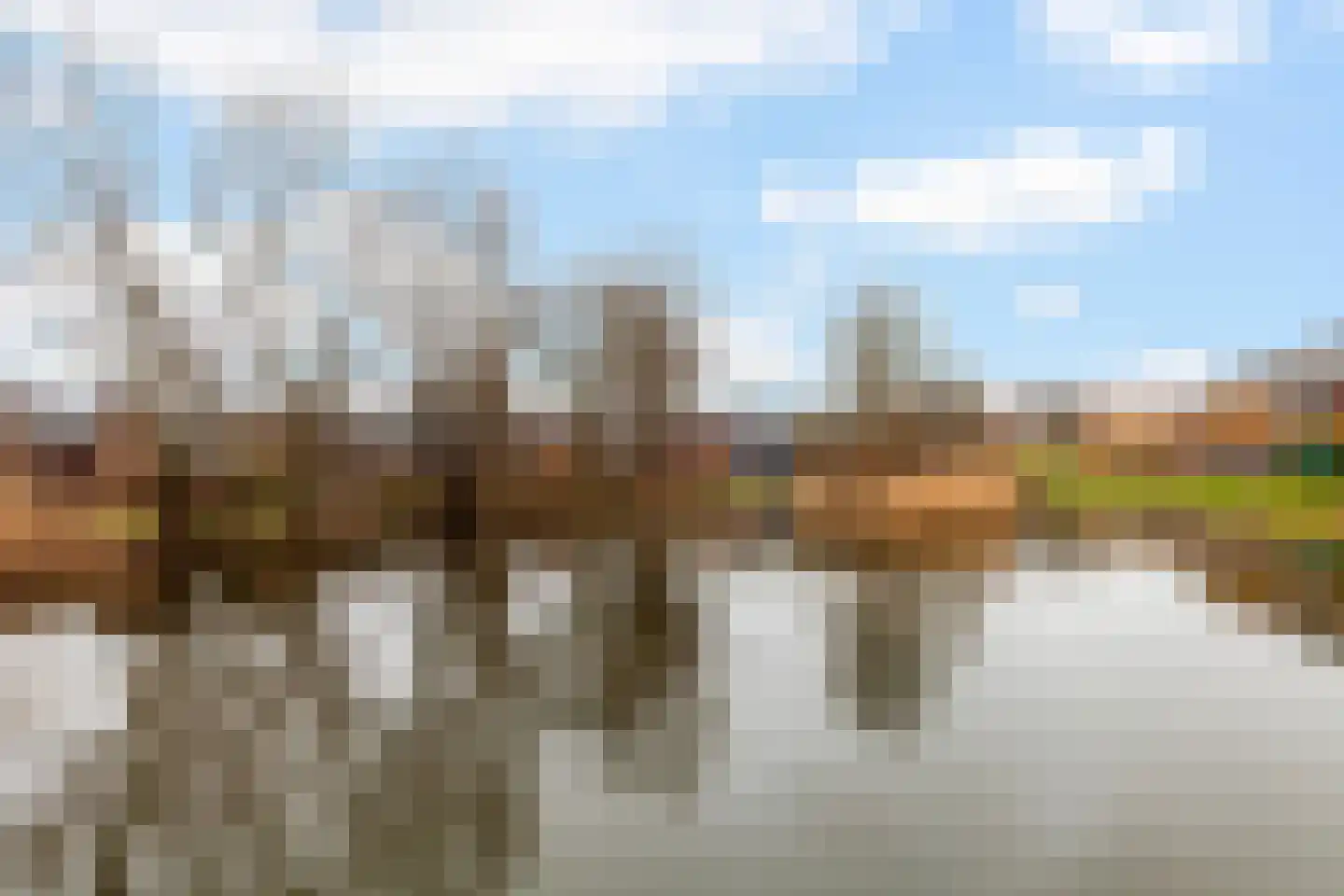 de Wetstraat 90 Ridderkerk thumbnail 27
