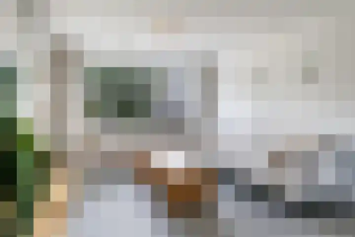 De Wettering 8 Zetten thumbnail 15