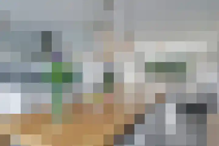 De Wettering 8 Zetten thumbnail 21
