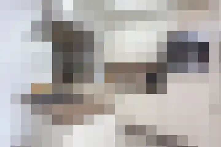 De Wettering 8 Zetten thumbnail 31