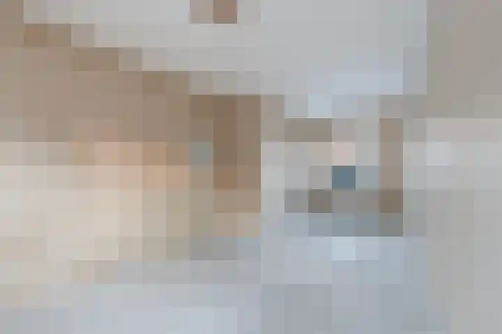 De Wettering 8 Zetten thumbnail 46